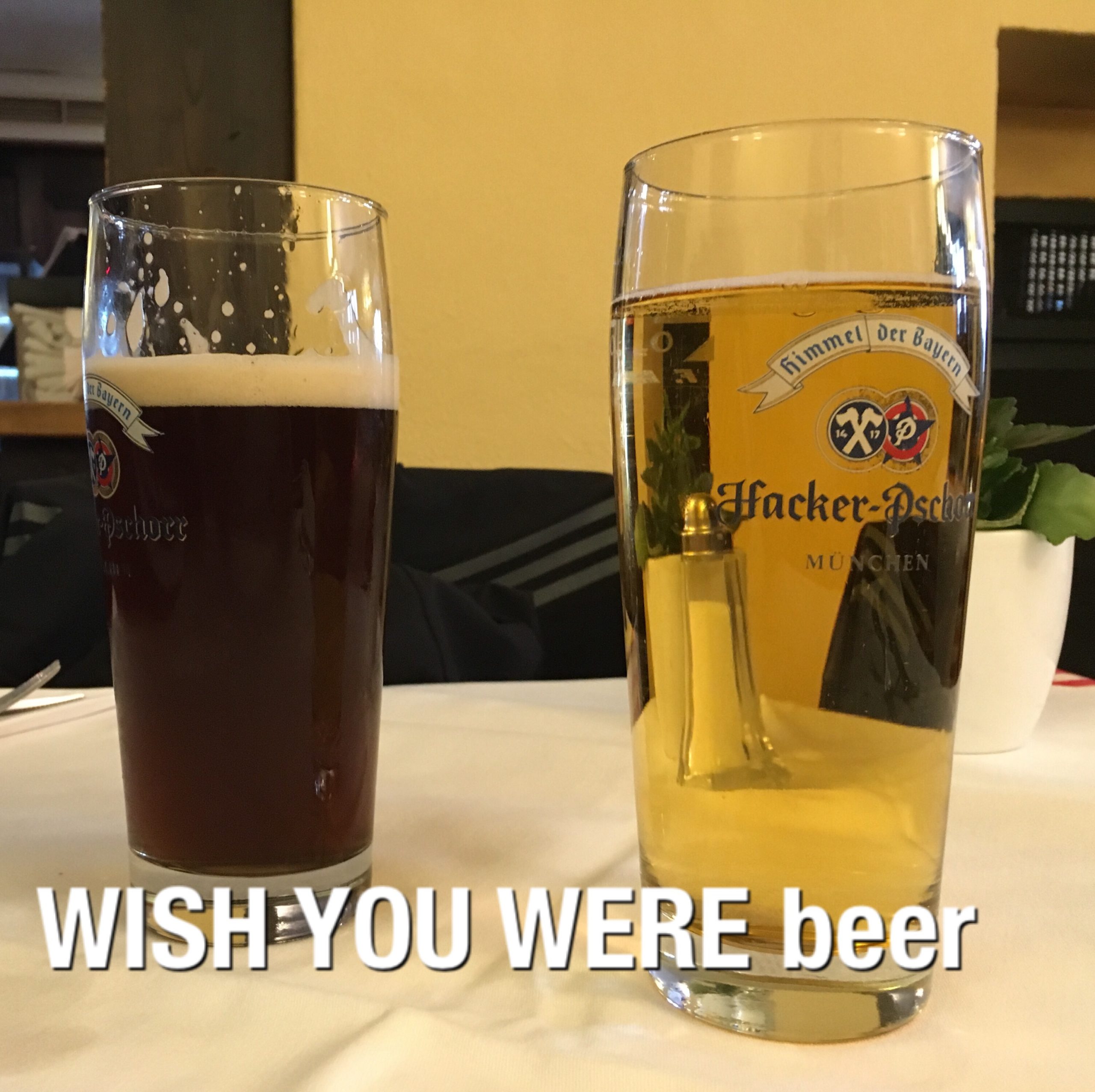 Wish you where beer
